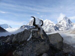 Trek de Gokyo et Camp de Base de l’Everest – 18 jours