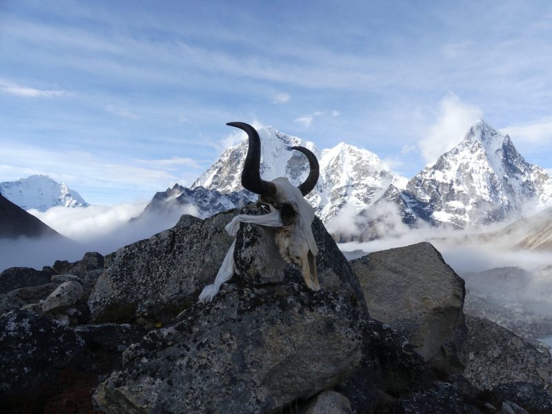 Mustang Circuit Trekking, Adventurous Treks in Nepal, Land of Upper Mustang, Mustang Trekking Itinerary, Mustang Circuit Trek.