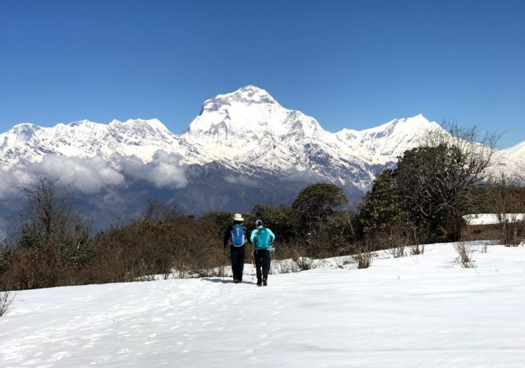 Annapurna Base Camp Trek 12 days